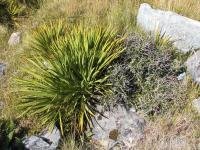 Albums/20060200-New Zealand 2006/20060317-Cook/26